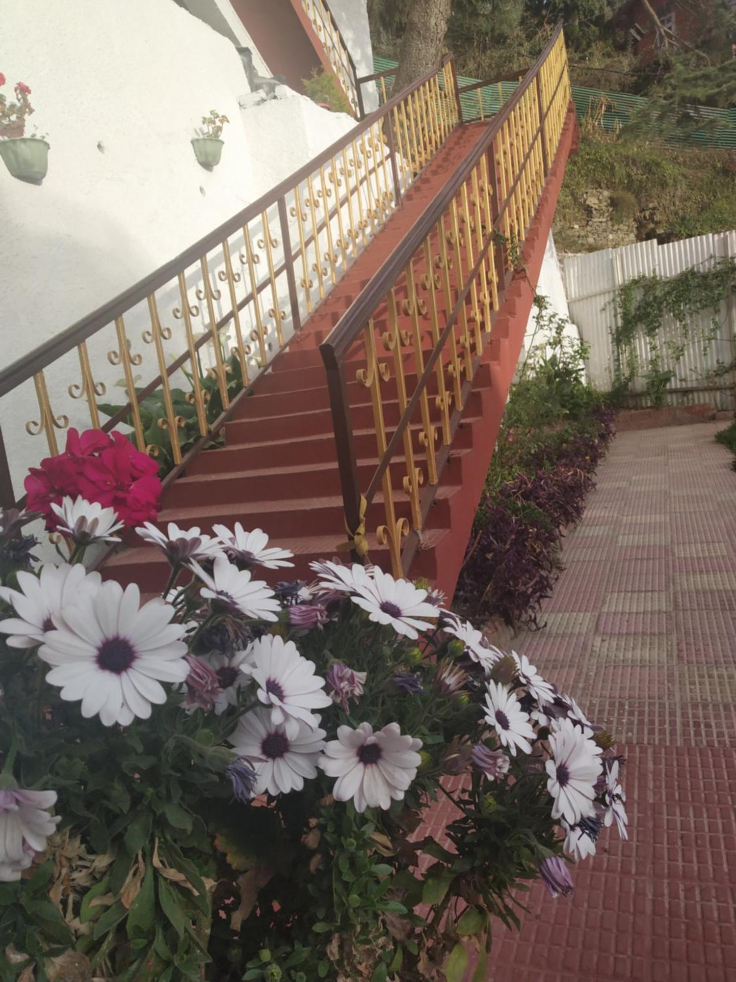 Garden Cottages Шимла Екстериор снимка